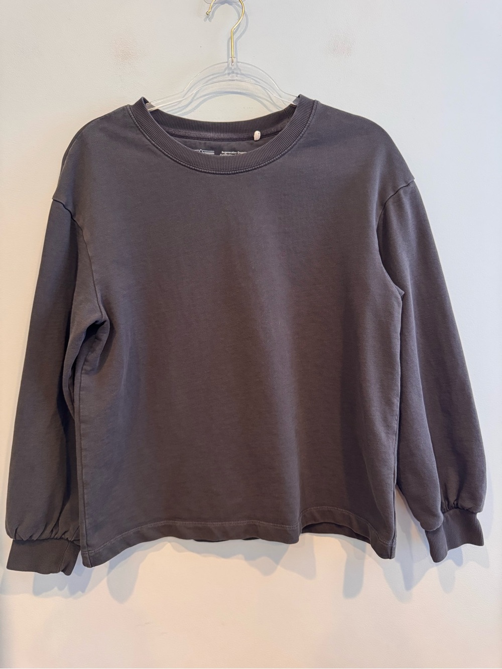 Patagonia Regenerative Organic Certified Cotton Essential Pullover Sweatshirt